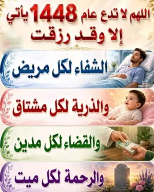 قطعه ارض للبيع في مصيف الياسمين قنفودة