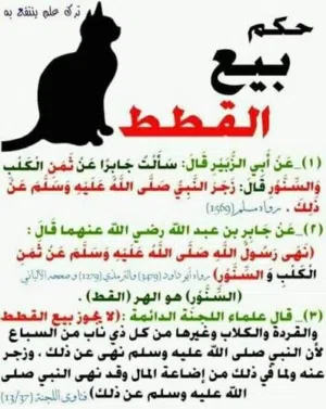 حكم بيع و شراء القطط