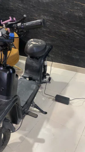 Electric Scooter for Sale