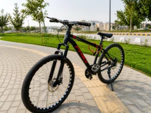دراجة جبلية (MTB) بدون تروس Gearles Mountain Bike (MTB) Sports