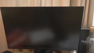 LG 27 inch 100hz monitor