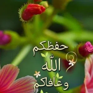 الهم انصر اخواننا في غزه 