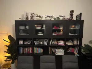 IKEA BESTA Storage
