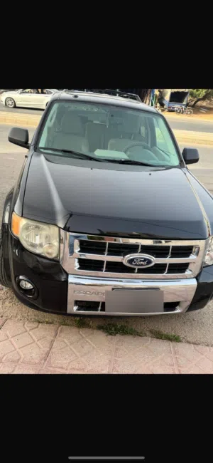 Used Ford Escape in Amman