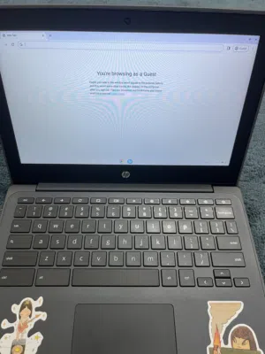 laptop hp chromebook 10