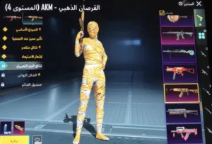 حساب ببجي للبيع