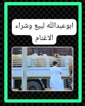 Abuabduallah altrabelsi altrabelsi