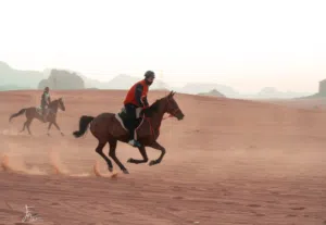خيل مراثون عالي ما شاء الله