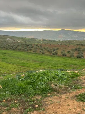 Mixed Use Land for Sale in Jerash Other