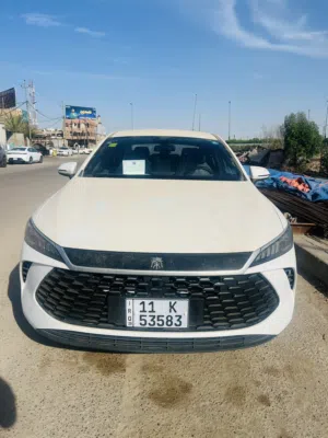 Byd كين بلاس 2025
