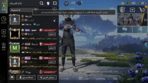 حساب ببجي السعر 300دينار