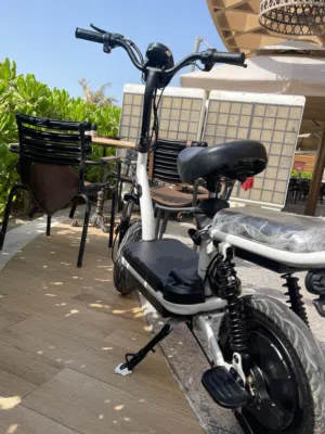 سكوتر ebike مقاس 16