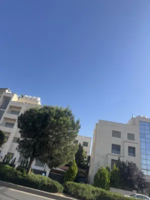 شقه لليجار