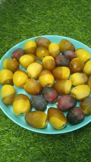 رطب خرايف فاخر