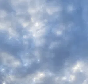 علي 
