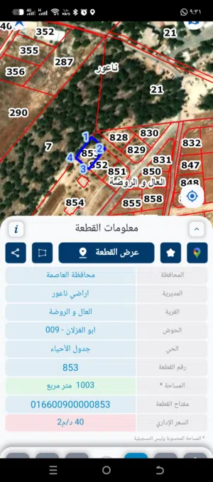 Residential Land for Sale in Amman Naour