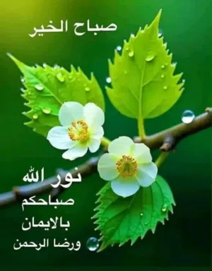 مطلوب إستبدال