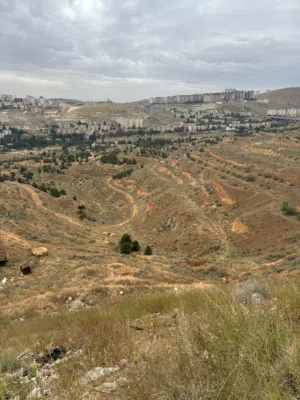 شقة مميزة للبيع مع السطح