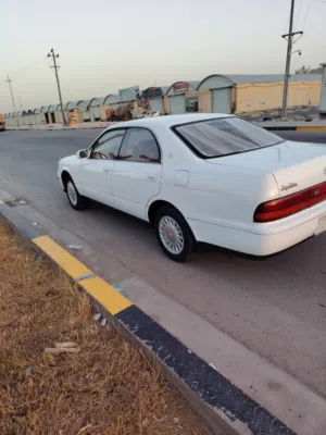 بطه متصل للبيع