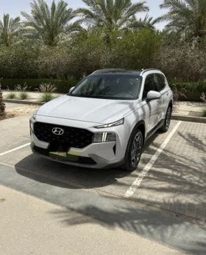 Diplomatic car single owner