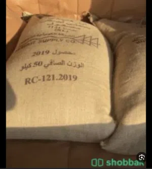 عيش 50 كيلو