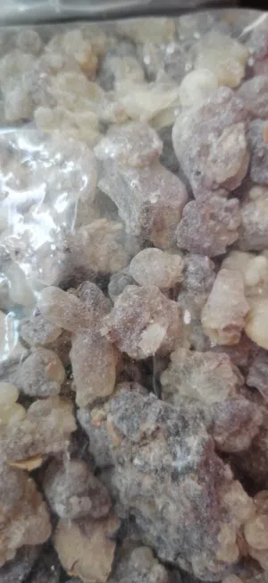 توب اللبان الحوجري للبخور... ممتاز اخضر...