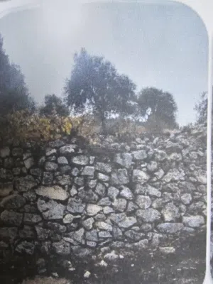 Farm Land for Sale in Salt Other