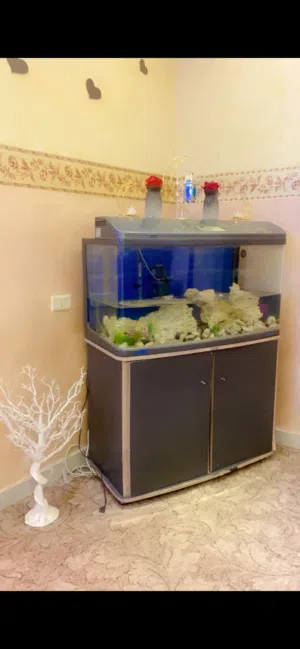 حوض سمك أكواريوم