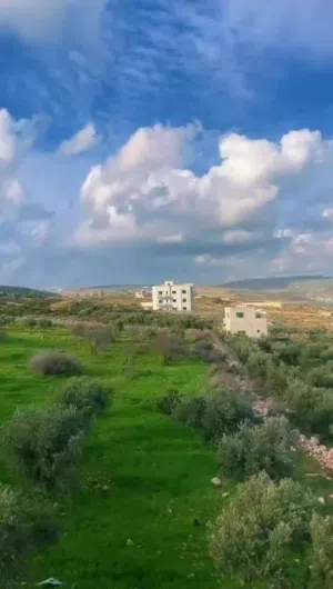 ارض للبيع في طلوزة