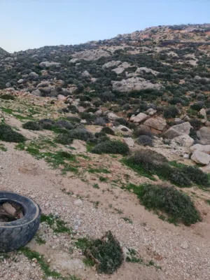 ارض نصف دونم منطقة أ