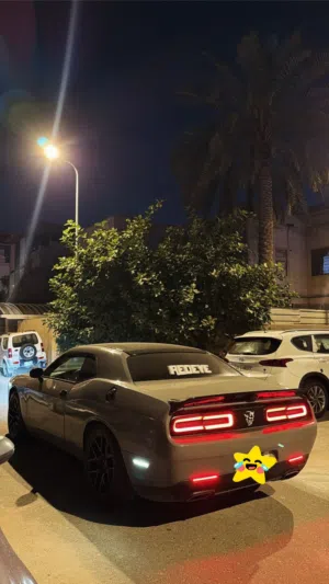 جالنجر 2019 بيع او مراوس بأقل مستعجل