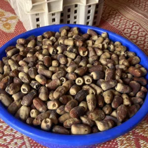 للبيع سح نغال