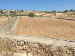 Farm . 3500 m2 . Landlord2
