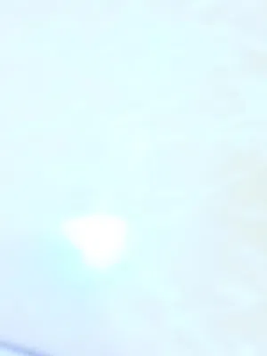 دجاج   عرب البيع التنومه