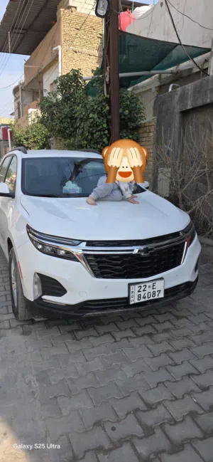 شفر ليت كوينكس