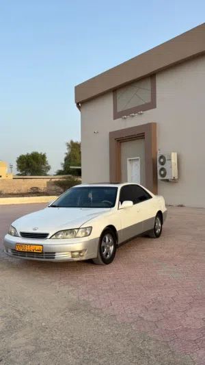 لكزز لي البيع