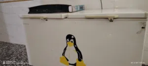 مجمده للبيع