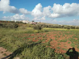 Farm Land for Sale in Mafraq Rhab