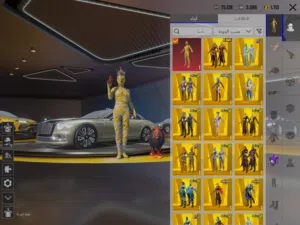 Pubg Accounts and Characters for Sale in Sana'a