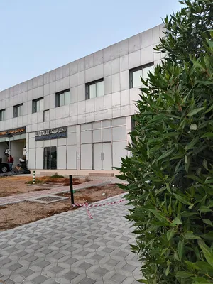 Yearly . 2000 m20