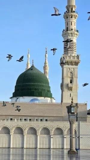 ابراهيم محمد ابو حامد 