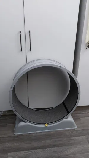Cat Wheel   عجلة القطط