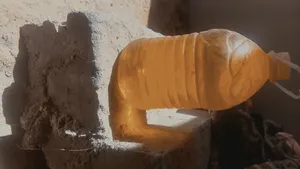 ‏زيوت‏1