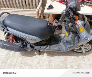 البصره الجزيره شط العرب