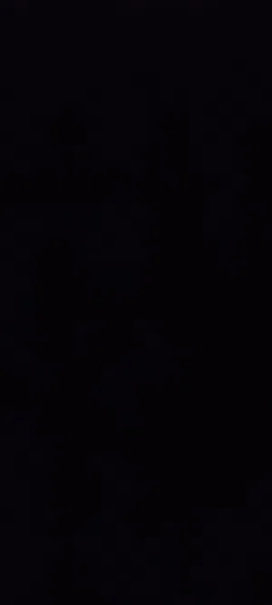 مطلوب كلب للتبني مينواه جيرمن