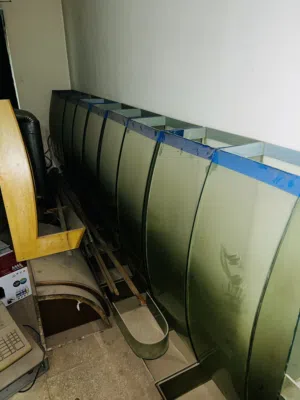 بتارين و رفوف