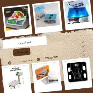 قصر الميزين 
