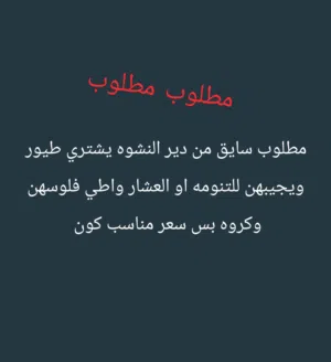 مطلوب مطلوب سايق من الدير لعشار