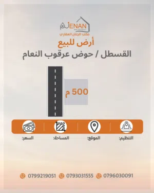 أرض مميزة للبيع طريقالمطار / القسطل / بوابة عمان مساحة 500 متر