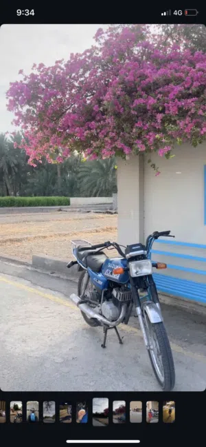 ابحث عن سيجي حرق